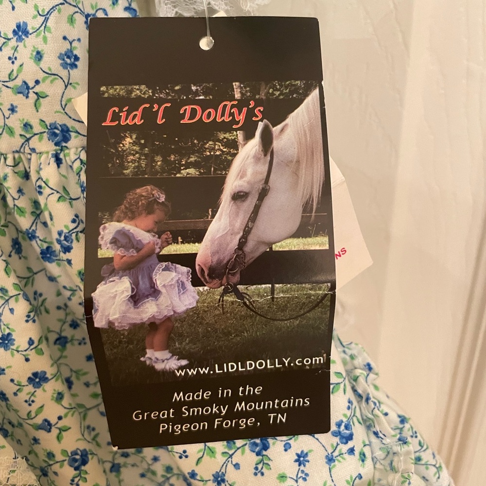 Vintage NWT Lid’l Dolly’s Girl Floral Ruffle Dress with Lace, 3T - Picture 2 of 10